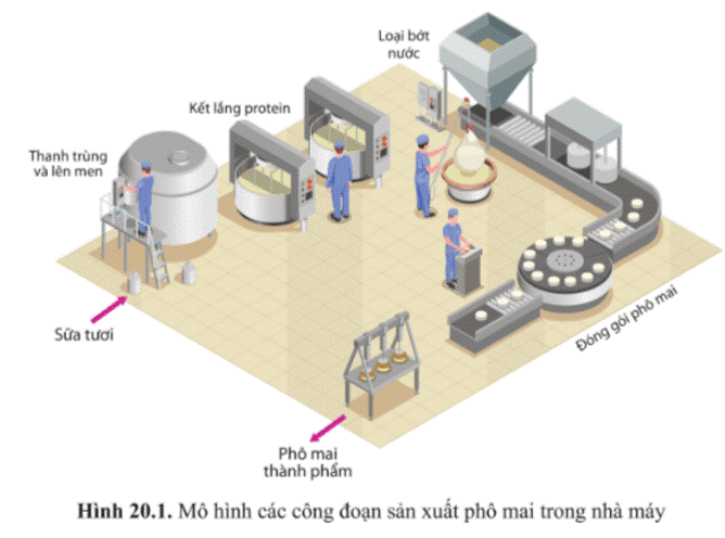 Giáo án Sinh học 10 Bài 20 (Cánh diều 2023): Thành tựu của công nghệ vi sinh vật và ứng dụng của vi sinh vật (ảnh 1)