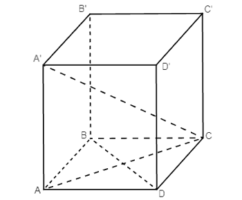 Cho hình hộp ABCD.A’B’C’D’ có ABCD là hình thoi, AA’ ⊥ (ABCD)