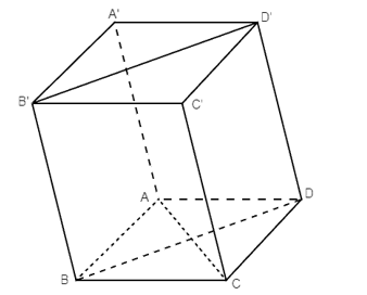 Cho hình hộp ABCD.A’B’C’D’ có đáy là hình vuông