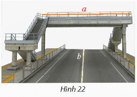 Bài 5 trang 81 Toán 11 Tập 2 Chân trời sáng tạo | Giải Toán 11