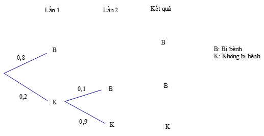 Bài 5 trang 93 Toán 11 Tập 2 Chân trời sáng tạo | Giải Toán 11