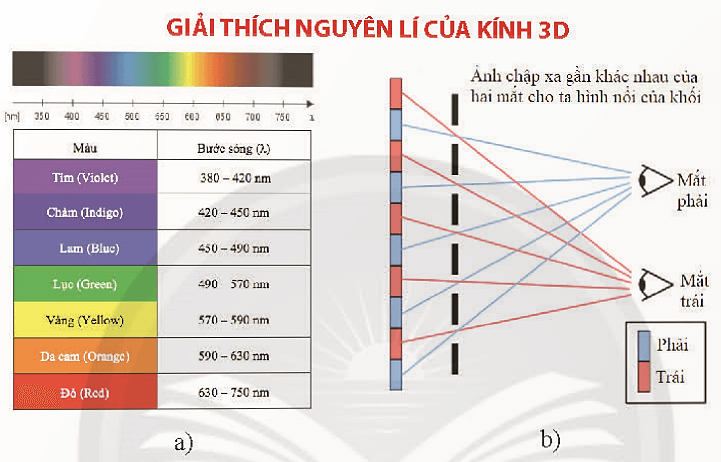 Hoạt động 2 trang 101 Toán 11 Tập 2 Chân trời sáng tạo | Giải Toán 11