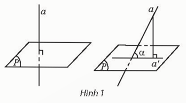 Hoạt động khám phá 1 trang 82 Toán 11 Tập 2 Chân trời sáng tạo | Giải Toán 11