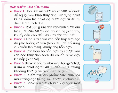 Khoa học lớp 5 Chân trời sáng tạo Bài 19: Vi khuẩn có ích trong chế biến thực phẩm