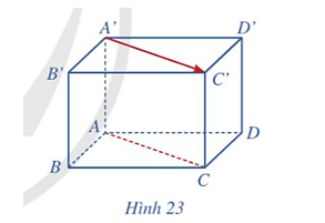 Hoạt động 1 trang 65 Toán 12 Cánh diều Tập 2 | Giải Toán 12