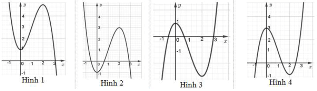 Khảo sát và vẽ đồ thị một số hàm số cơ bản (Lý thuyết Toán lớp 12) | Chân trời sáng tạo